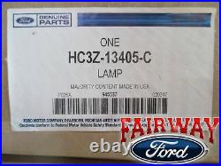 17 thru 19 Super Duty OEM Ford Tail Lamp Light LEFT DRIVER LED with Blind Spot