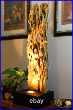 Driftwood Lamp Floor Lamp Wood LED Light Antique Wood Driftwood